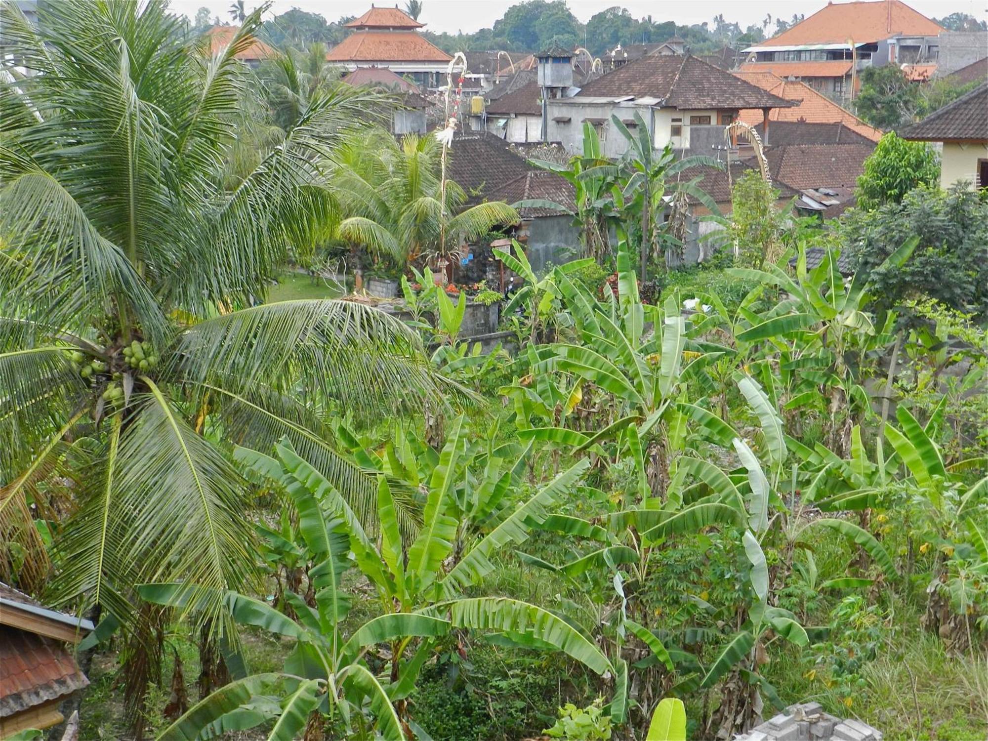 Kori Bali Inn I Ubud  Exterior photo